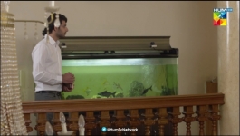 Roag - Episode 12 - 8th March 2022